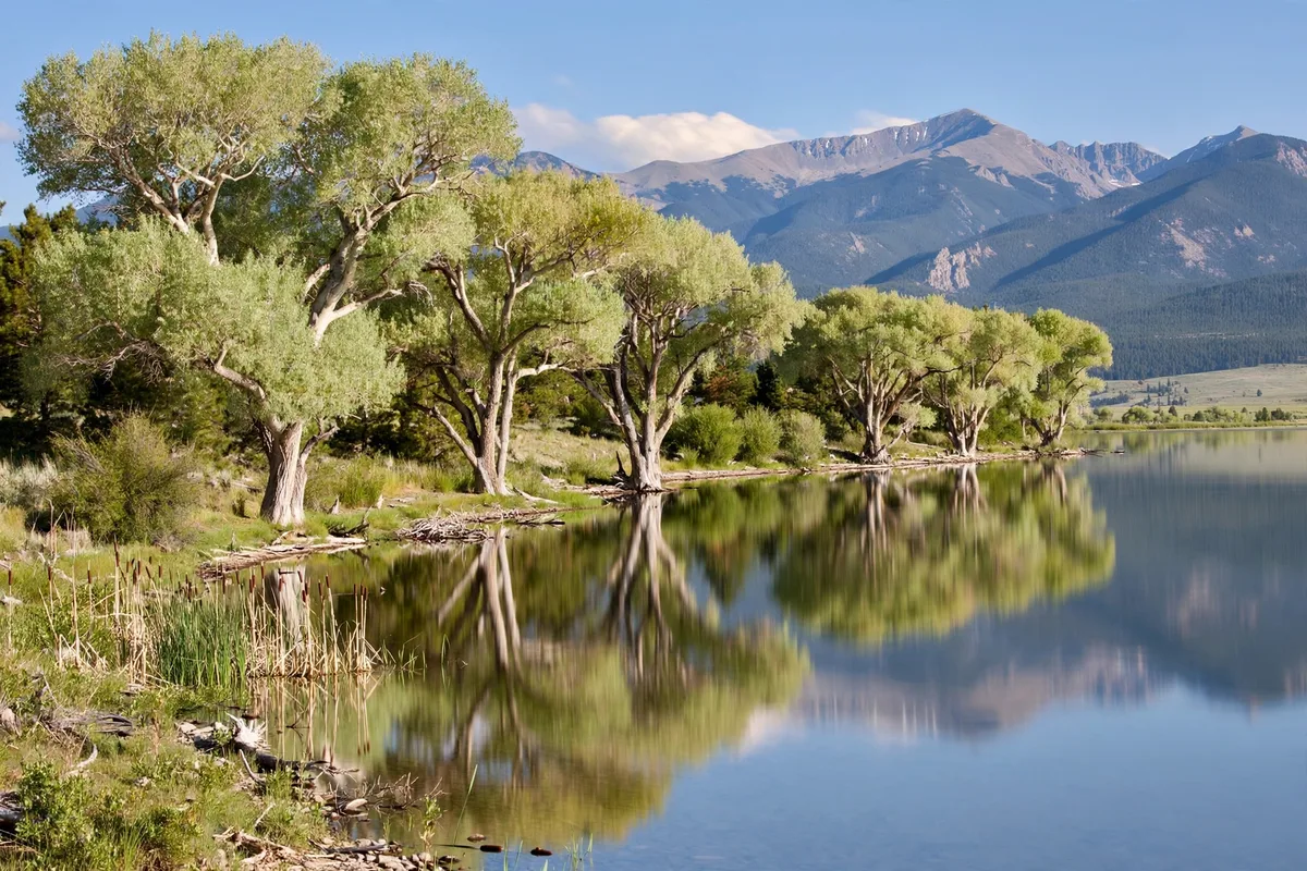 Cottonwood trees reflected in a calm Loveland lake with mountains behind it
